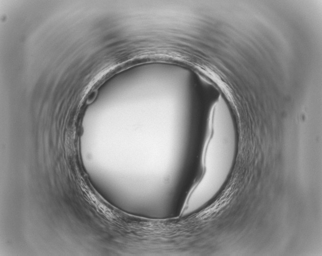 X0000087020799200705141855