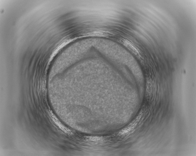 X0000087020800200705141855