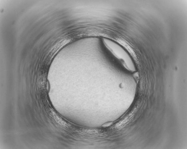 X0000087020801200705141855