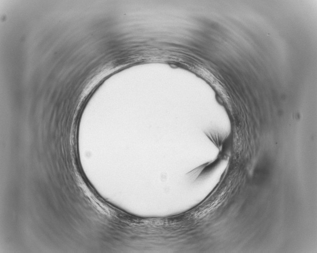 X0000087020803200705141855