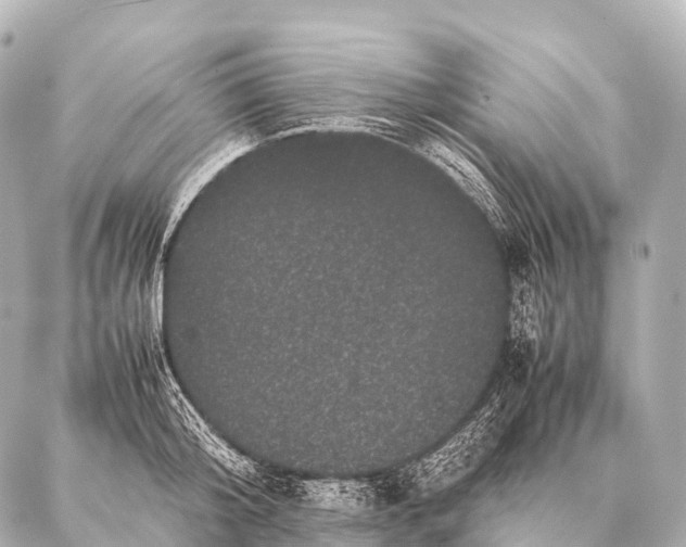 X0000087020804200705141855