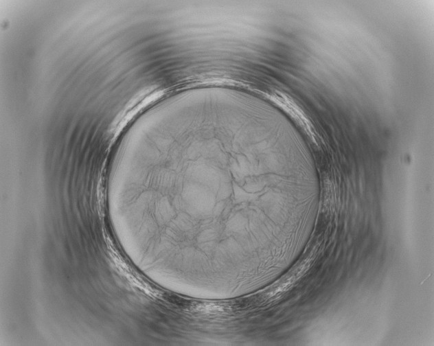 X0000087020806200705141855