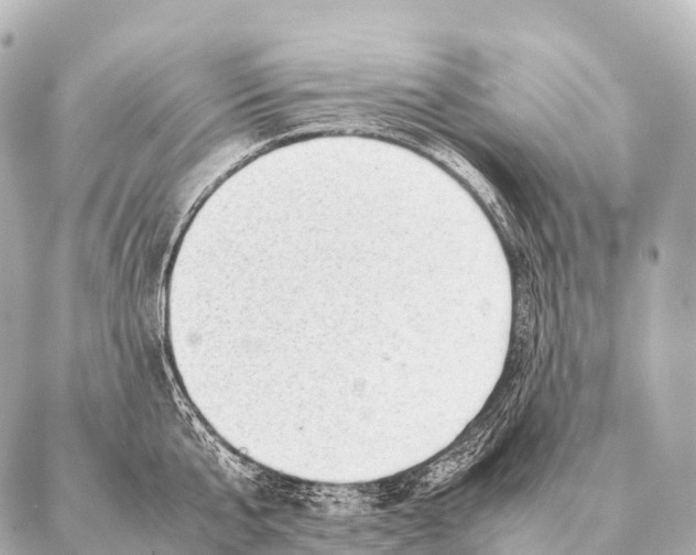 X0000087020807200705141855