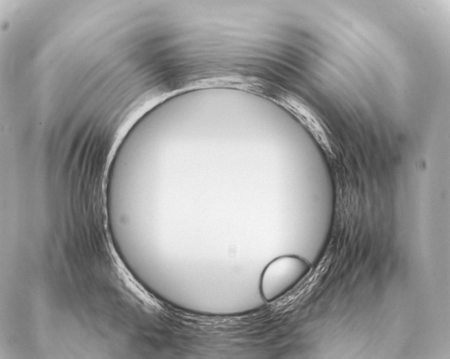 X0000087020808200705141855