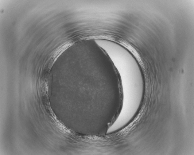 X0000087020809200705141855