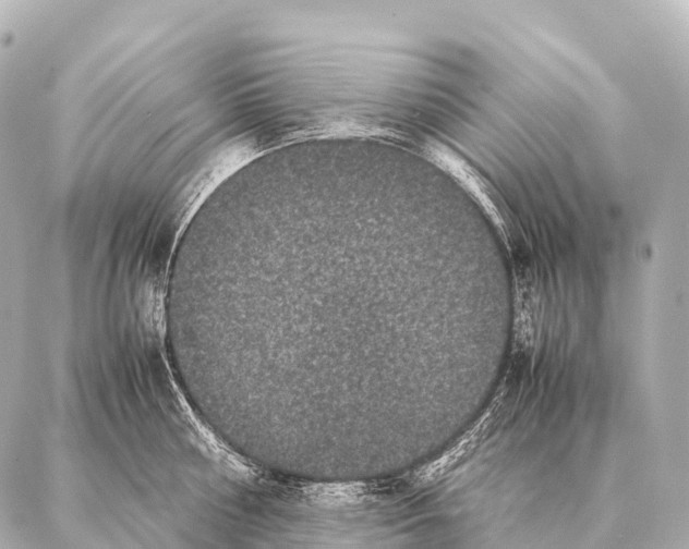 X0000087020810200705141855