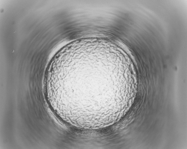 X0000087020811200705141855