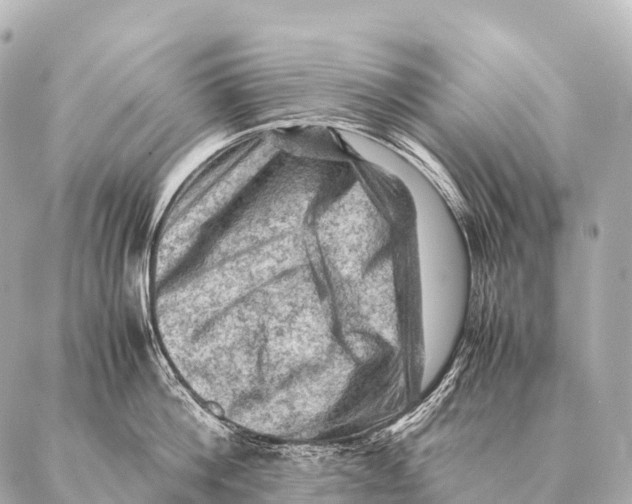 X0000087020812200705141855