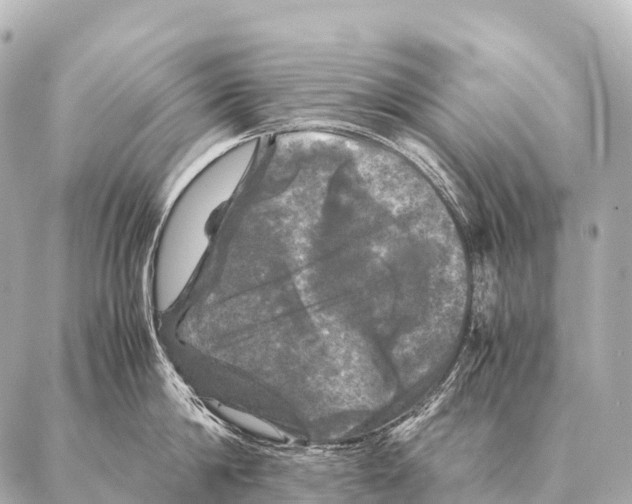 X0000087020814200705141855