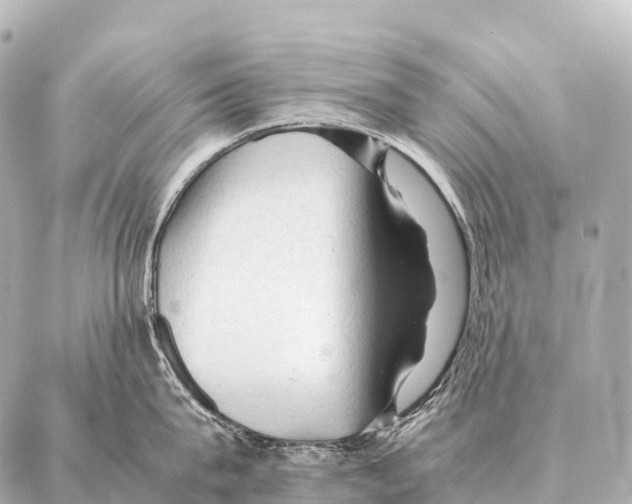 X0000087020815200705141855