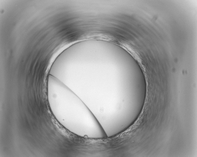 X0000087020816200705141855