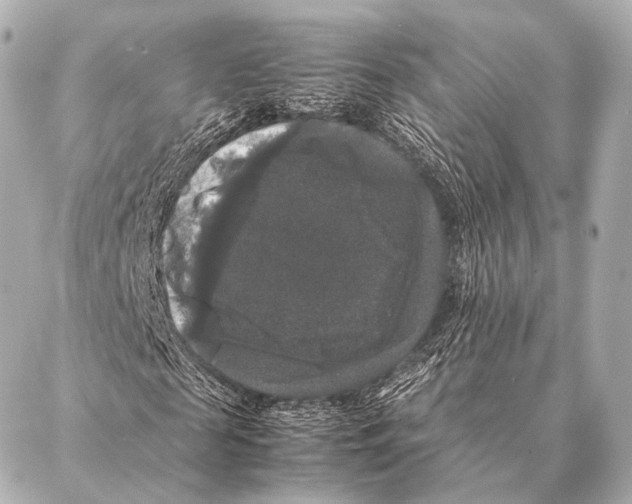 X0000087020817200705141854