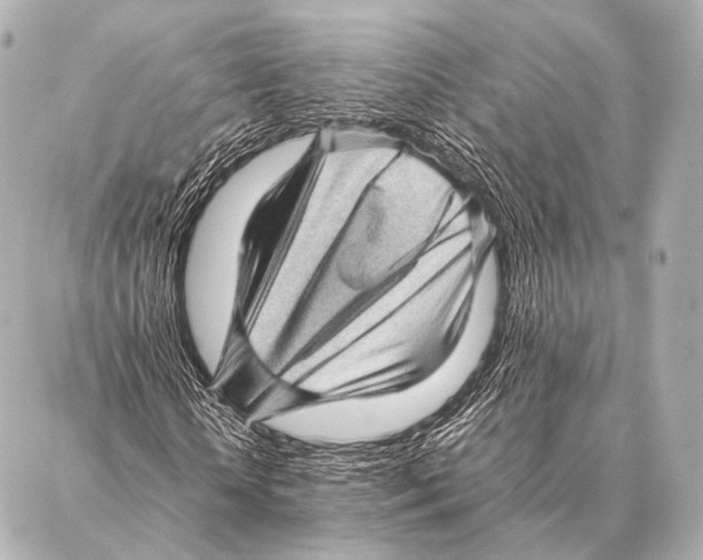 X0000087020818200705141854