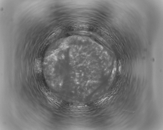 X0000087020819200705141854