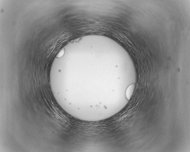 X0000087020820200705141854