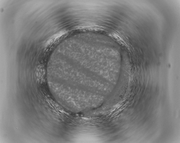 X0000087020822200705141854