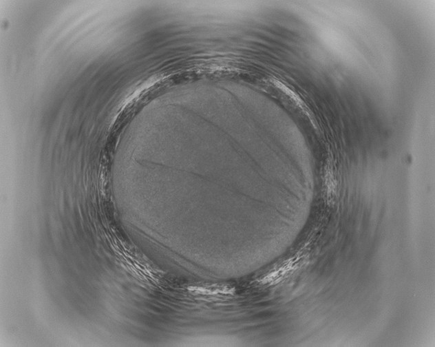 X0000087020823200705141854