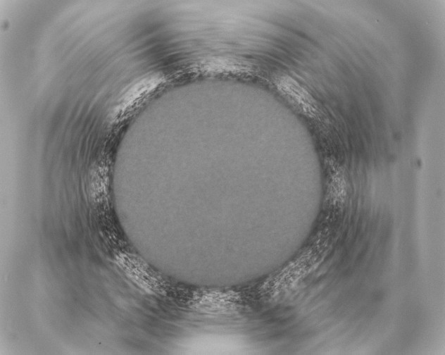 X0000087020824200705141854