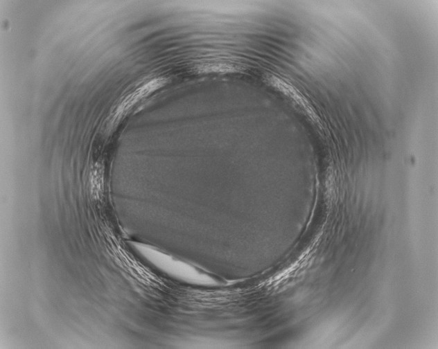 X0000087020825200705141854