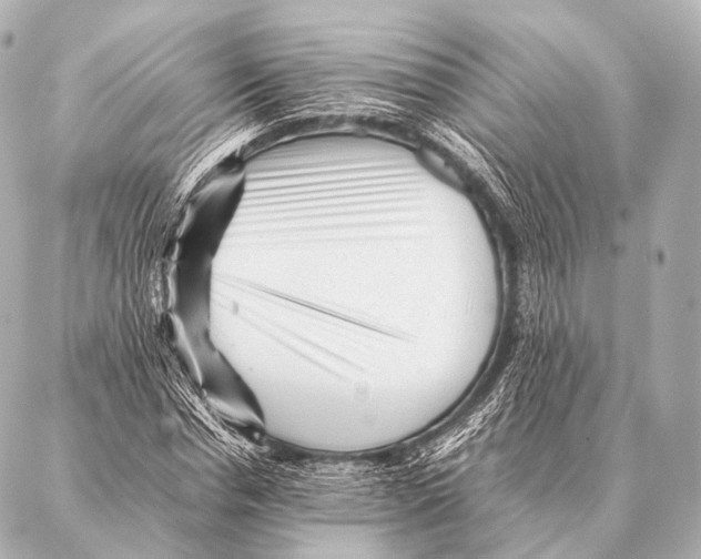 X0000087020826200705141854