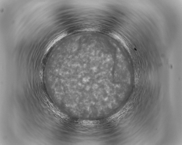 X0000087020827200705141854