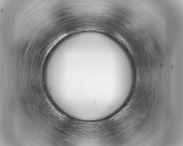 X0000087020828200705141854