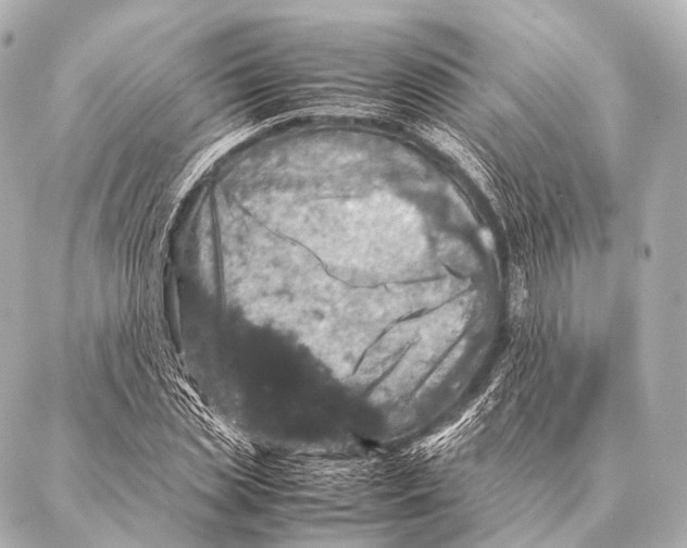 X0000087020829200705141854