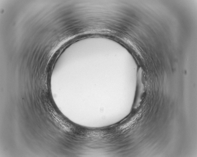 X0000087020830200705141854