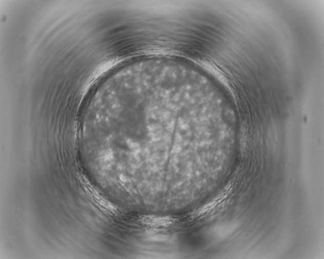 X0000087020831200705141854