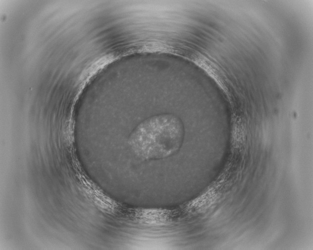 X0000087020832200705141854