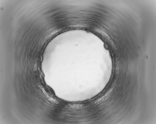 X0000087020833200705141854