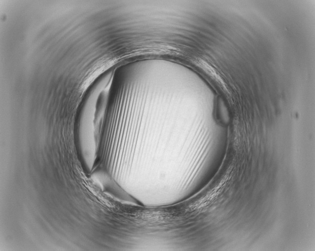 X0000087020834200705141854