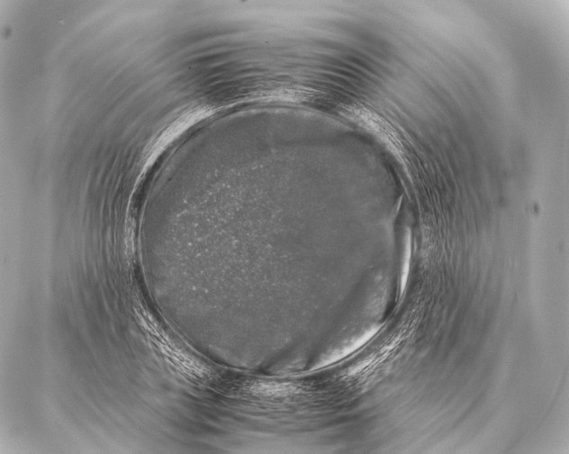 X0000087020835200705141854