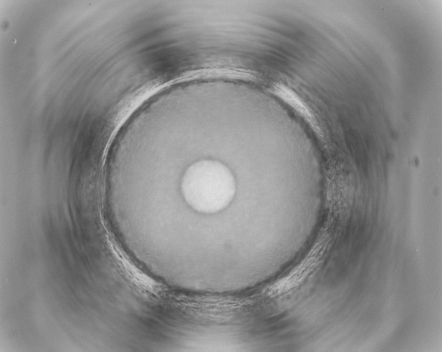 X0000087020836200705141854