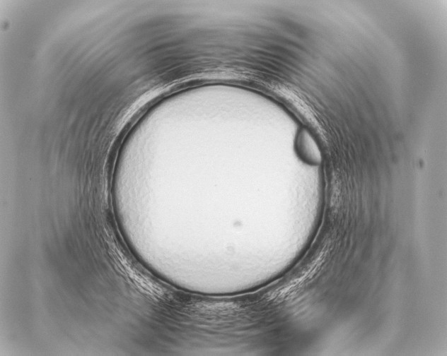 X0000087020837200705141854