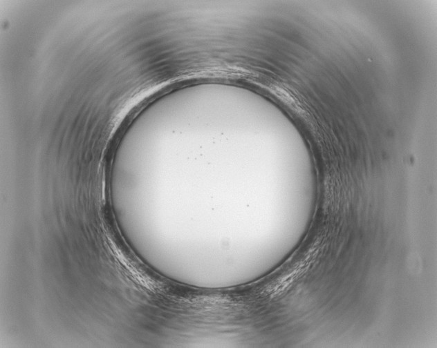 X0000087020838200705141854