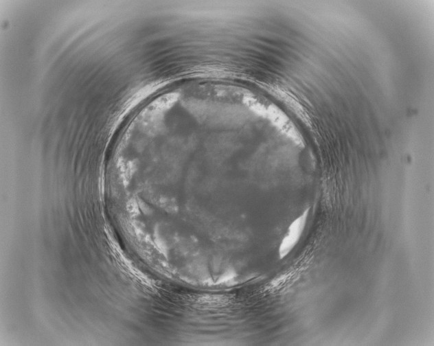 X0000087020839200705141854