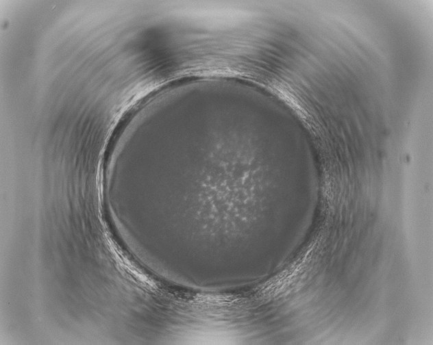 X0000087020840200705141854