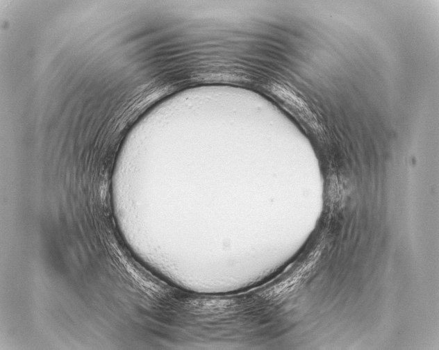 X0000087020841200705141854