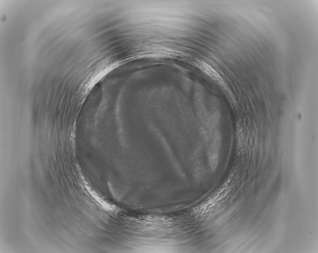 X0000087020842200705141854