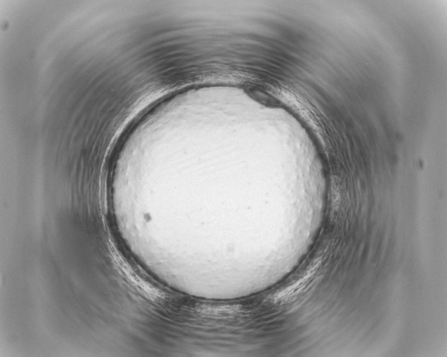 X0000087020843200705141854