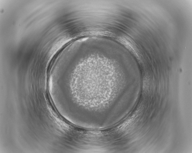 X0000087020844200705141854