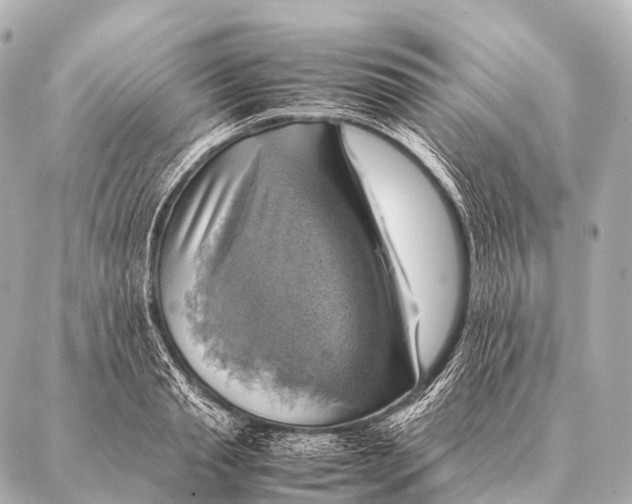 X0000087020845200705141854