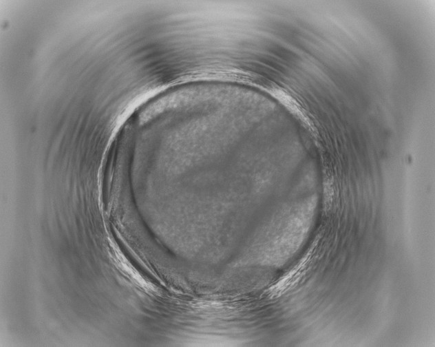 X0000087020846200705141854