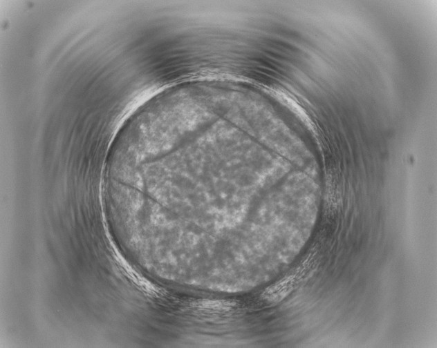 X0000087020847200705141854