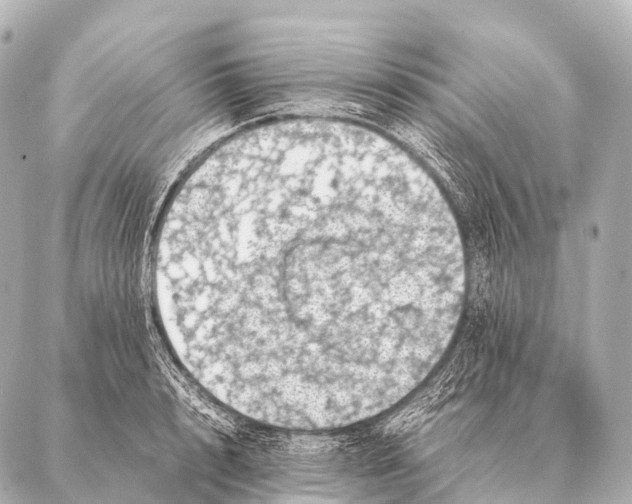 X0000087020848200705141854