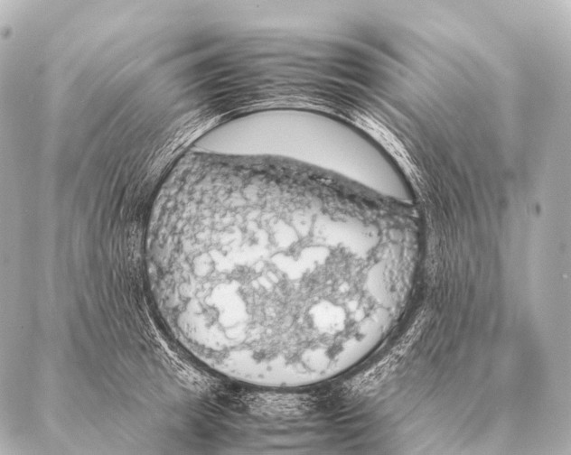 X0000087020849200705141854