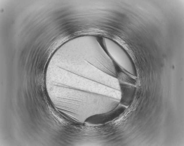 X0000087020850200705141854