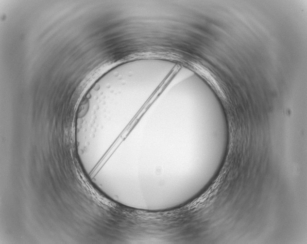 X0000087020852200705141854