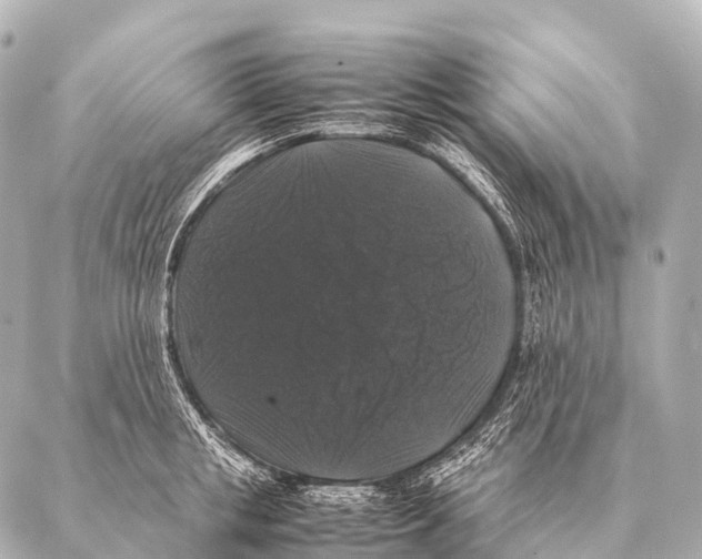 X0000087020853200705141854